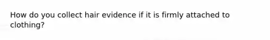 How do you collect hair evidence if it is firmly attached to clothing?