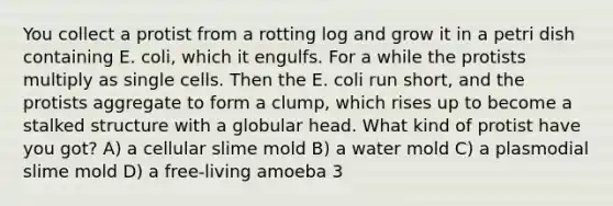 You collect a protist from a rotting log and grow it in a petri dish containing E. coli, which it engulfs. For a while the protists multiply as single cells. Then the E. coli run short, and the protists aggregate to form a clump, which rises up to become a stalked structure with a globular head. What kind of protist have you got? A) a cellular slime mold B) a water mold C) a plasmodial slime mold D) a free-living amoeba 3