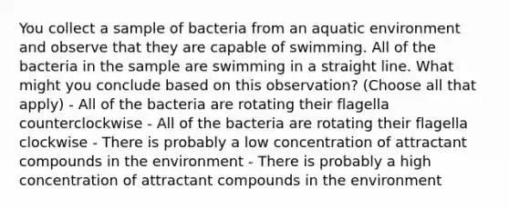 You collect a sample of bacteria from an aquatic environment and observe that they are capable of swimming. All of the bacteria in the sample are swimming in a straight line. What might you conclude based on this observation? (Choose all that apply) - All of the bacteria are rotating their flagella counterclockwise - All of the bacteria are rotating their flagella clockwise - There is probably a low concentration of attractant compounds in the environment - There is probably a high concentration of attractant compounds in the environment