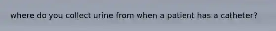 where do you collect urine from when a patient has a catheter?