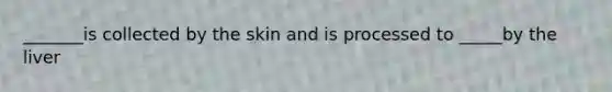 _______is collected by the skin and is processed to _____by the liver