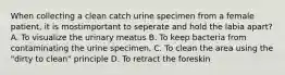 When collecting a clean catch urine specimen from a female patient, it is mostimportant to seperate and hold the labia apart? A. To visualize the urinary meatus B. To keep bacteria from contaminating the urine specimen. C. To clean the area using the "dirty to clean" principle D. To retract the foreskin