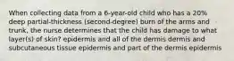 When collecting data from a 6-year-old child who has a 20% deep partial-thickness (second-degree) burn of the arms and trunk, the nurse determines that the child has damage to what layer(s) of skin? epidermis and all of the dermis dermis and subcutaneous tissue epidermis and part of the dermis epidermis