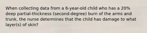 When collecting data from a 6-year-old child who has a 20% deep partial-thickness (second-degree) burn of the arms and trunk, the nurse determines that the child has damage to what layer(s) of skin?