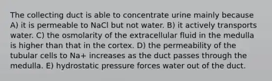 The collecting duct is able to concentrate urine mainly because A) it is permeable to NaCl but not water. B) it actively transports water. C) the osmolarity of the extracellular fluid in the medulla is higher than that in the cortex. D) the permeability of the tubular cells to Na+ increases as the duct passes through the medulla. E) hydrostatic pressure forces water out of the duct.