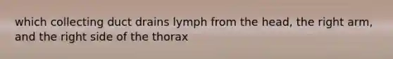 which collecting duct drains lymph from the head, the right arm, and the right side of the thorax