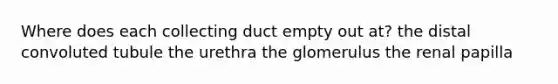 Where does each collecting duct empty out at? the distal convoluted tubule the urethra the glomerulus the renal papilla