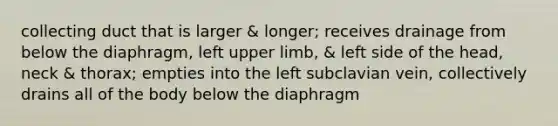 collecting duct that is larger & longer; receives drainage from below the diaphragm, left upper limb, & left side of the head, neck & thorax; empties into the left subclavian vein, collectively drains all of the body below the diaphragm