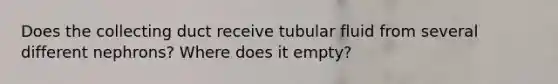 Does the collecting duct receive tubular fluid from several different nephrons? Where does it empty?