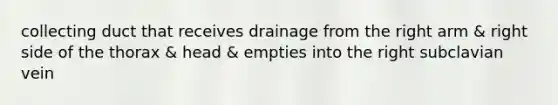 collecting duct that receives drainage from the right arm & right side of the thorax & head & empties into the right subclavian vein
