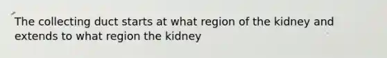 The collecting duct starts at what region of the kidney and extends to what region the kidney