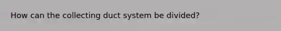 How can the collecting duct system be divided?