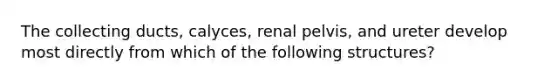 The collecting ducts, calyces, renal pelvis, and ureter develop most directly from which of the following structures?