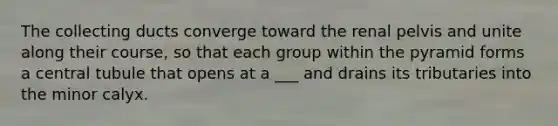 The collecting ducts converge toward the renal pelvis and unite along their course, so that each group within the pyramid forms a central tubule that opens at a ___ and drains its tributaries into the minor calyx.