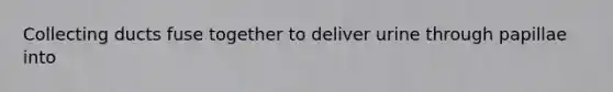 Collecting ducts fuse together to deliver urine through papillae into
