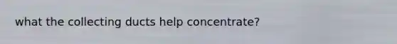 what the collecting ducts help concentrate?