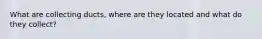 What are collecting ducts, where are they located and what do they collect?