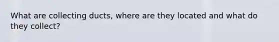 What are collecting ducts, where are they located and what do they collect?