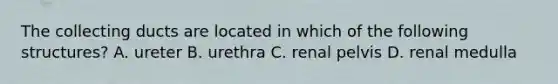 The collecting ducts are located in which of the following structures? A. ureter B. urethra C. renal pelvis D. renal medulla