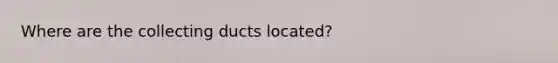 Where are the collecting ducts located?