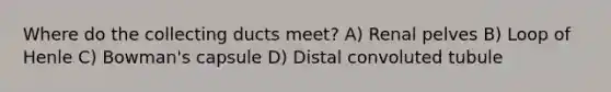 Where do the collecting ducts meet? A) Renal pelves B) Loop of Henle C) Bowman's capsule D) Distal convoluted tubule