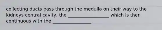 collecting ducts pass through the medulla on their way to the kidneys central cavity, the __________________ which is then continuous with the _________________.