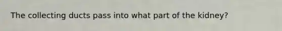 The collecting ducts pass into what part of the kidney?
