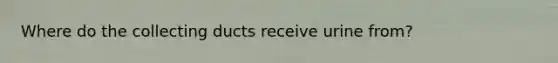 Where do the collecting ducts receive urine from?