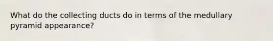 What do the collecting ducts do in terms of the medullary pyramid appearance?