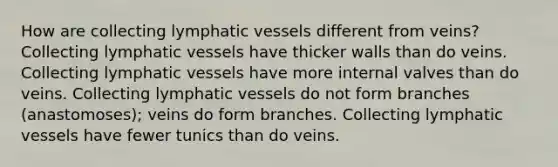 How are collecting lymphatic vessels different from veins? Collecting lymphatic vessels have thicker walls than do veins. Collecting lymphatic vessels have more internal valves than do veins. Collecting lymphatic vessels do not form branches (anastomoses); veins do form branches. Collecting lymphatic vessels have fewer tunics than do veins.