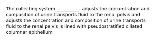 The collecting system __________. adjusts the concentration and composition of urine transports fluid to the renal pelvis and adjusts the concentration and composition of urine transports fluid to the renal pelvis is lined with pseudostratified ciliated columnar epithelium