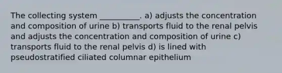 The collecting system __________. a) adjusts the concentration and composition of urine b) transports fluid to the renal pelvis and adjusts the concentration and composition of urine c) transports fluid to the renal pelvis d) is lined with pseudostratified ciliated columnar epithelium