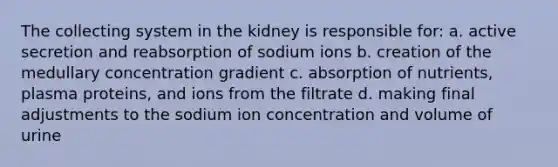 The collecting system in the kidney is responsible for: a. active secretion and reabsorption of sodium ions b. creation of the medullary concentration gradient c. absorption of nutrients, plasma proteins, and ions from the filtrate d. making final adjustments to the sodium ion concentration and volume of urine