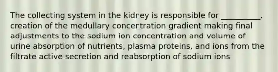 The collecting system in the kidney is responsible for __________. creation of the medullary concentration gradient making final adjustments to the sodium ion concentration and volume of urine absorption of nutrients, plasma proteins, and ions from the filtrate active secretion and reabsorption of sodium ions