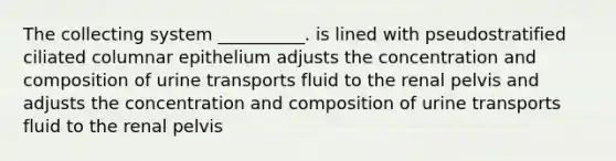 The collecting system __________. is lined with pseudostratified ciliated columnar epithelium adjusts the concentration and composition of urine transports fluid to the renal pelvis and adjusts the concentration and composition of urine transports fluid to the renal pelvis