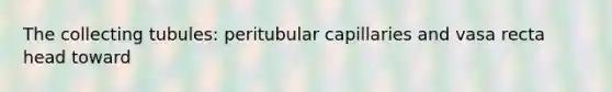 The collecting tubules: peritubular capillaries and vasa recta head toward