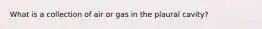 What is a collection of air or gas in the plaural cavity?