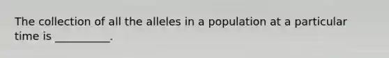 The collection of all the alleles in a population at a particular time is __________.