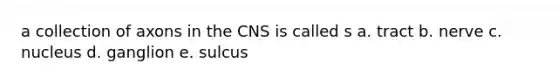 a collection of axons in the CNS is called s a. tract b. nerve c. nucleus d. ganglion e. sulcus