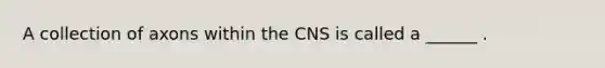 A collection of axons within the CNS is called a ______ .