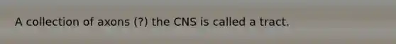 A collection of axons (?) the CNS is called a tract.