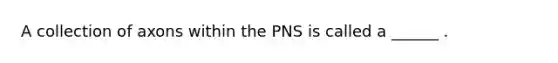 A collection of axons within the PNS is called a ______ .