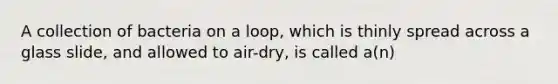 A collection of bacteria on a loop, which is thinly spread across a glass slide, and allowed to air-dry, is called a(n)