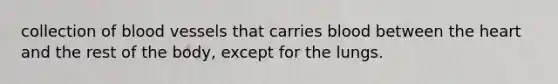 collection of blood vessels that carries blood between the heart and the rest of the body, except for the lungs.