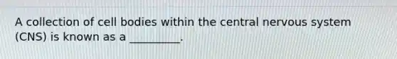A collection of cell bodies within the central nervous system (CNS) is known as a _________.