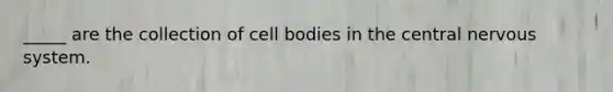 _____ are the collection of cell bodies in the central nervous system.