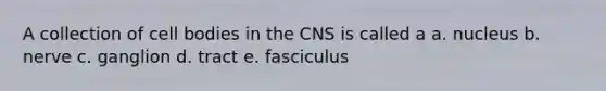 A collection of cell bodies in the CNS is called a a. nucleus b. nerve c. ganglion d. tract e. fasciculus