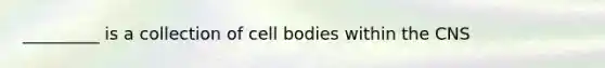 _________ is a collection of cell bodies within the CNS