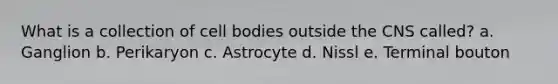 What is a collection of cell bodies outside the CNS called? a. Ganglion b. Perikaryon c. Astrocyte d. Nissl e. Terminal bouton