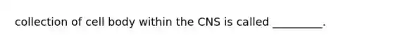 collection of cell body within the CNS is called _________.